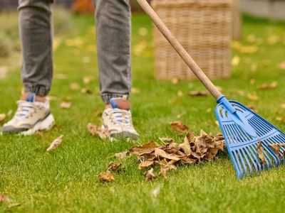 AQAX8rdbdLZBx-dW9lG5J_FiLW501cExxUa04rD44Gomf58SgfDrcDuww1rVtYd-3GZ8N1r3T-gXBJAO1xUnLYpAd2Q